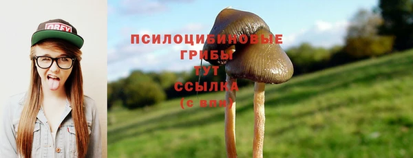 apvp Баксан