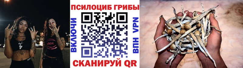 где купить наркотик  Барабинск  Галлюциногенные грибы мицелий 