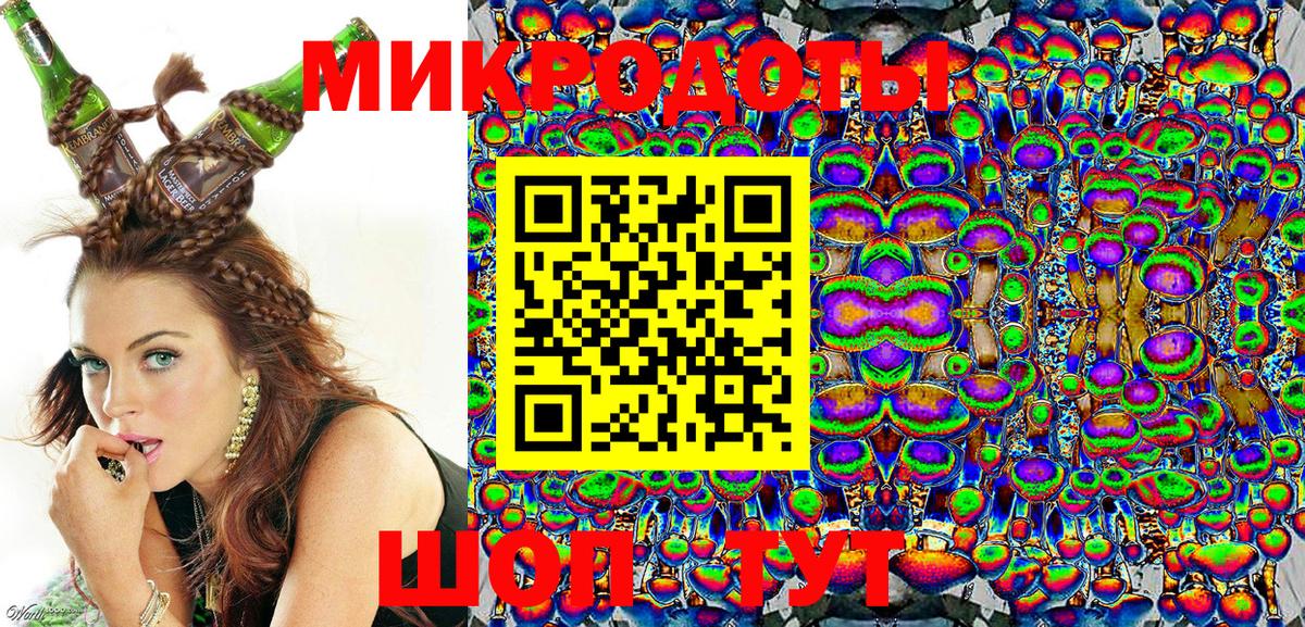 Псилоцибиновые грибы Cubensis Барабинск